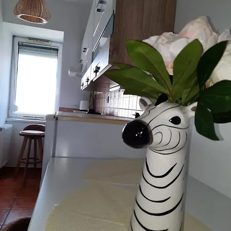 Zoeld Beka Koelcsey Ii * Hajdúszoboszló